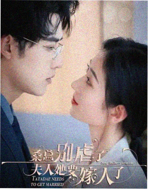归途 - 高分家庭剧在线观看